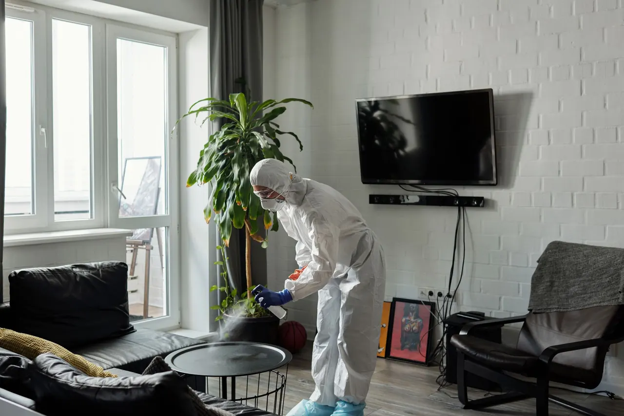 Bed Bug Control for Charlotte homes