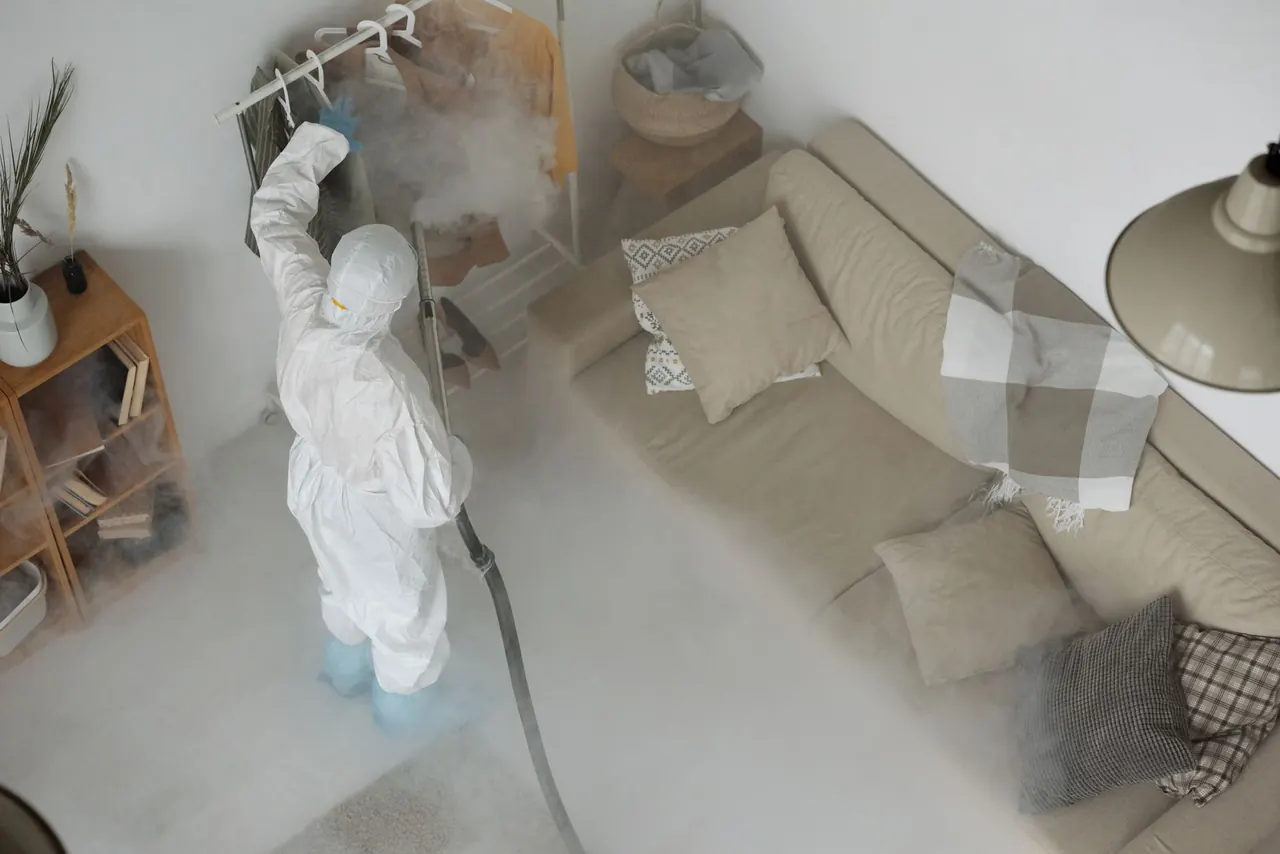 Bed Bug Fumigation you can count on